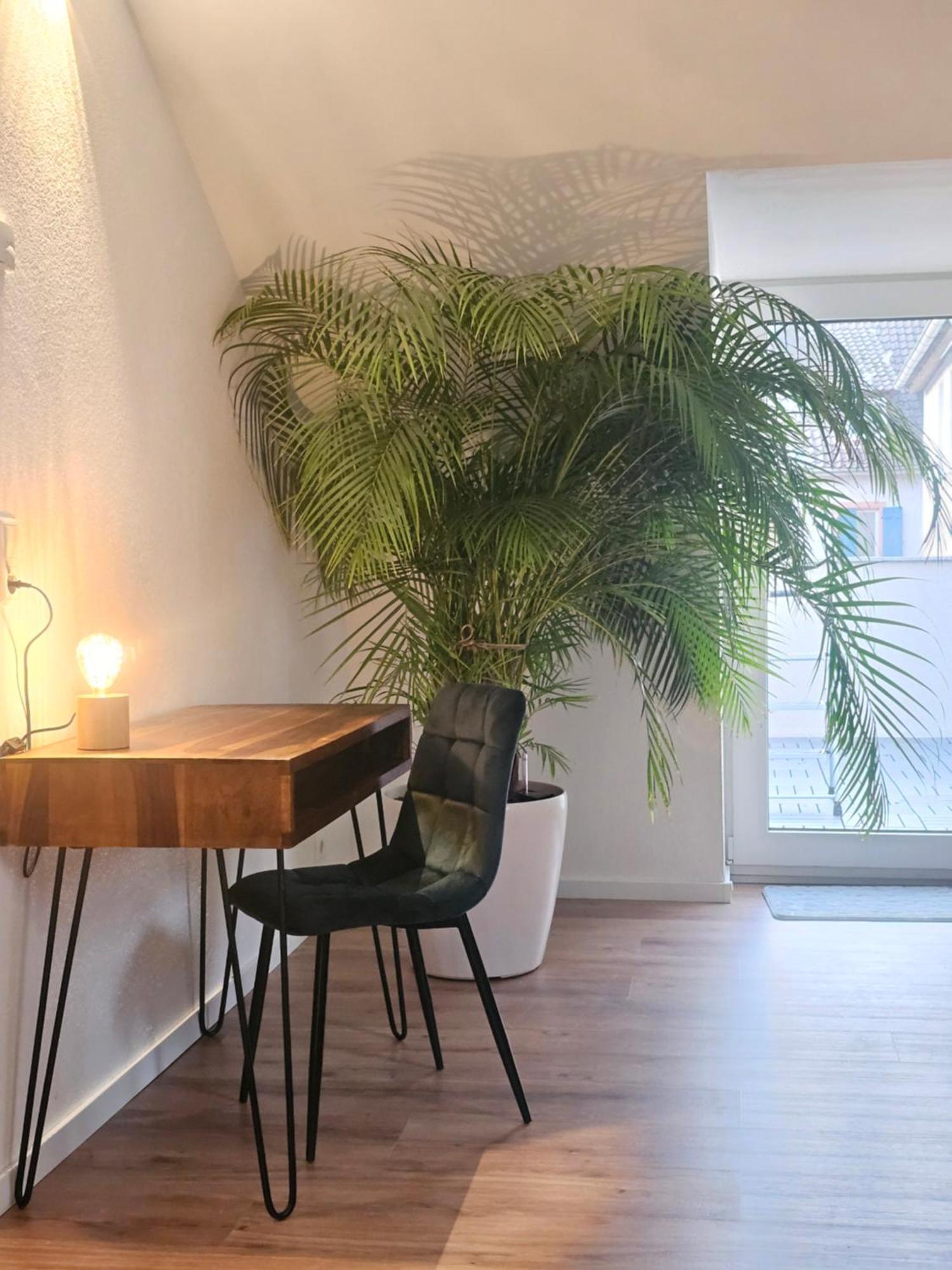 Design-Penthouse I 90Qm I Europapark 20 Min I Boxspring I Nespresso I Parking Lahr (Baden-Wurttemberg) Exterior foto